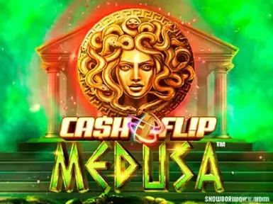 Wildsino Casino screenshot